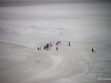 People walking on bottom of bay, low tide