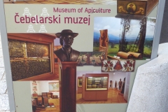 Museum of Apiculture, Radovljica, Slovenia