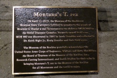 T Rex exhibits,  Museum of the Rockies