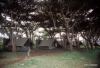 Ngorongoro Crater Camp.