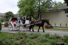 Horse carriage, Niagara-on-the-Lake, Ontario