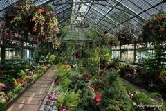 Niagara Parks Floral Showcase