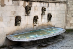 Lion Fountain, Notre-Dame Cathedral, Luxembourg