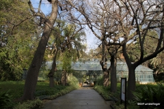 Orto Botanico, Palermo