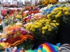 Ottawa -- Byward Market flowers