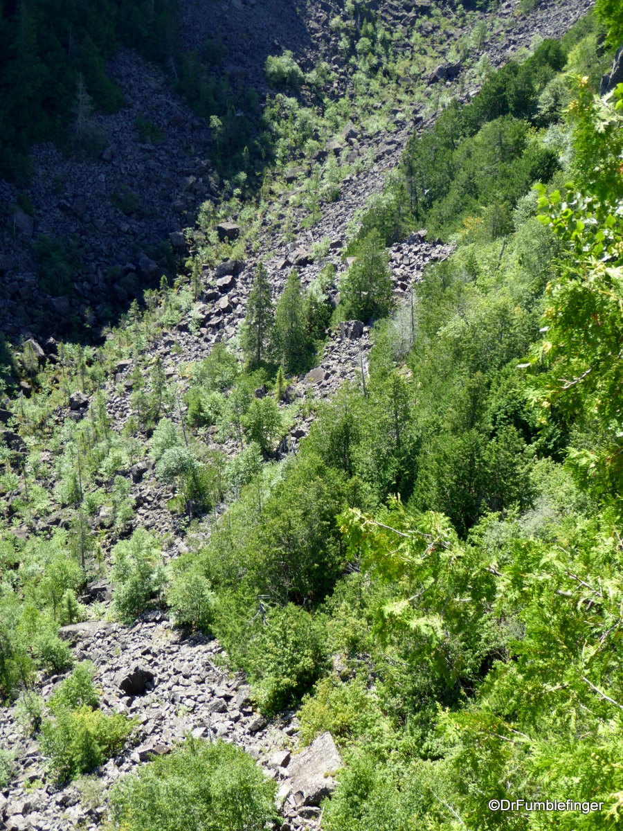 Looking down at trees growing in Ouimet Canyon