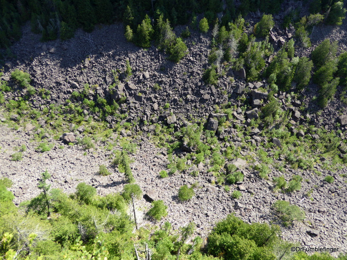 Looking down at trees growing in Ouimet Canyon