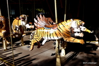 Conservation Carousel