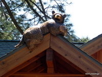 Bears, Lake Tahoe
