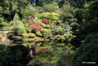 Japanese Garden, Portland
