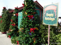 Christmas at Disney Springs