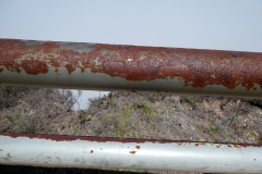Rust due to acidic vog, Poas Volcano