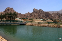 Al Ain hot springs and lake