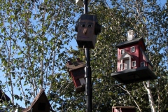 Birdhouses of Tivoli