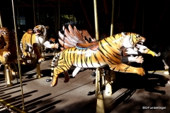 Conservation Carousel, San Diego Zoo Safari Park