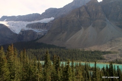 Crowfoot Glacier, and Bow Lake, Banff National Park