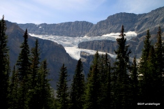 Crowfoot Glacier, Banff National Park