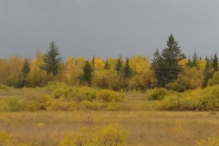 Fall colors, Birds Hill Provincial Park
