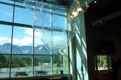 Ice and Flowers, Kluane Visitor Center
