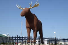 Mac the Moose, Moose Jaw, Saskatchewan