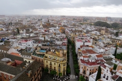 Views of Seville from the Cathedral's Giralda