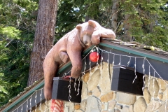 Bear Carvings, Lake Tahoe, California