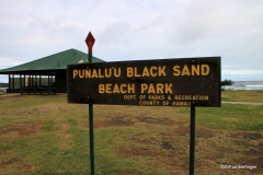 Punalu'u Black Sand Beach Park