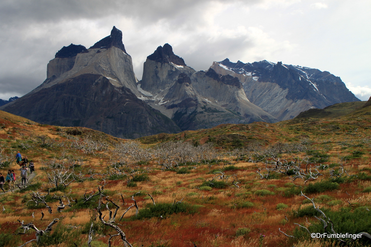 Remnants of a Wildfire, Torres Del Paine NP, Chile
