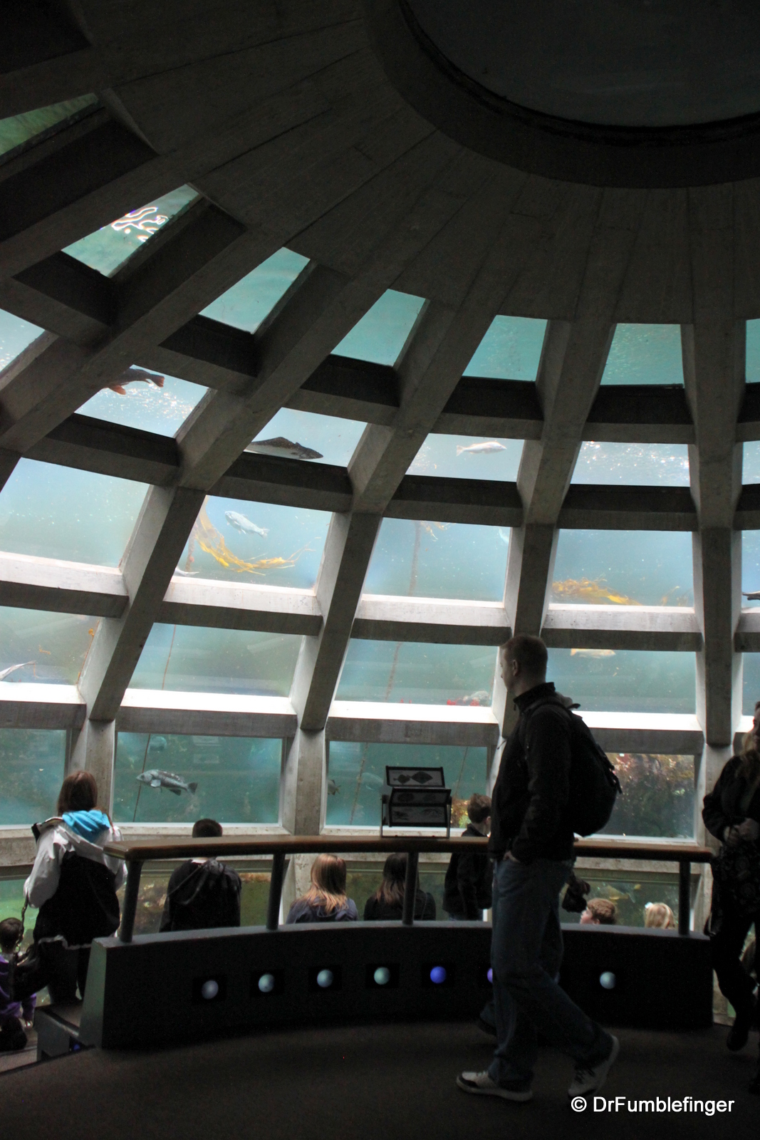 Seattle Aquarium, walk thru tank