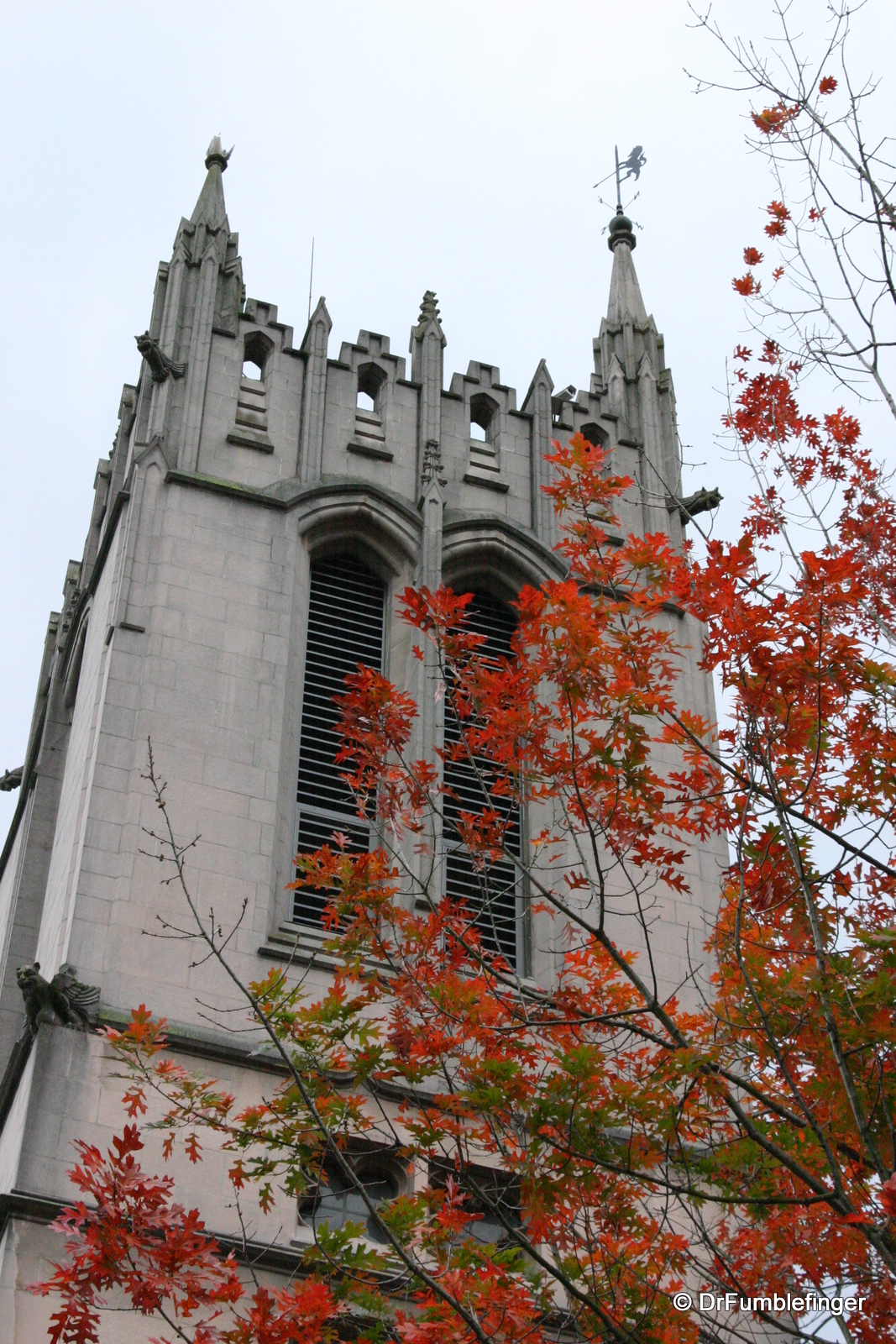 University of Washington, Seattle, fall colors