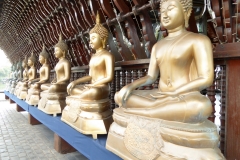 Exterior Buddhas, Seema Malaka Temple, Colombo