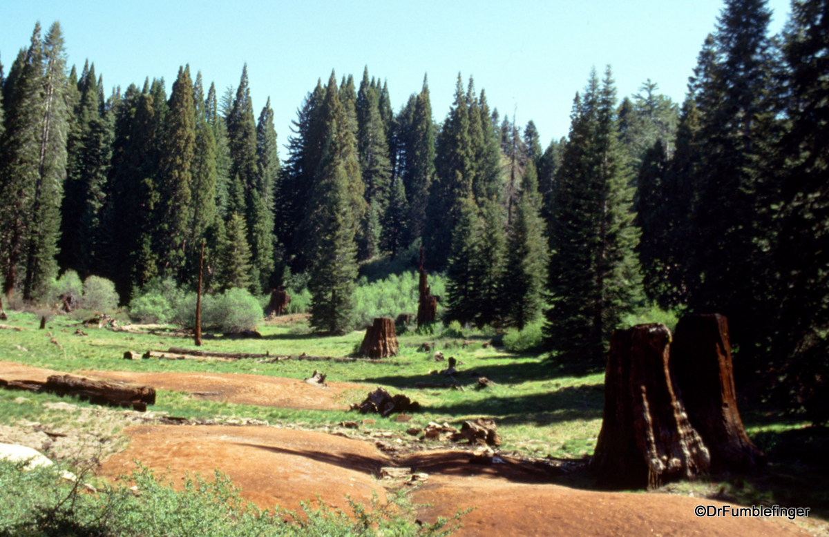 Stump Basin.  Where some of the sequoias were logged
