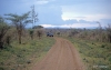 On Safari, Serengeti National Park