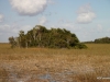"The River of Grass", Florida's Everglades