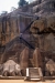 Sigiriya -- Lion's Platform & Climb up