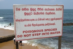 Signs of Sri Lanka