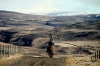 Horseback ride in South Iceland