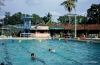 Colombo -- Otter's swimming club