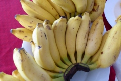 Bananas -- New Year's Day Celebration, Sri Lanka