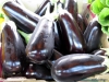 Eggplant, St. Catharines Market
