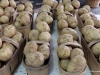 Potatoes, St. Catharines Market