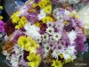 Cut flowers, St. Catharines Market