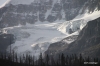 Stanley Glacier viewed from Highway 93.