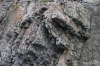 Rock structure of Sulphur Mountain
