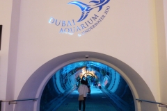 Aquarium, Dubai Mall