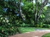 Entrance, Wahiawa Botanical Garden, Oahu