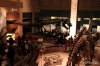 Museum of Natural History (dinosaur hall)