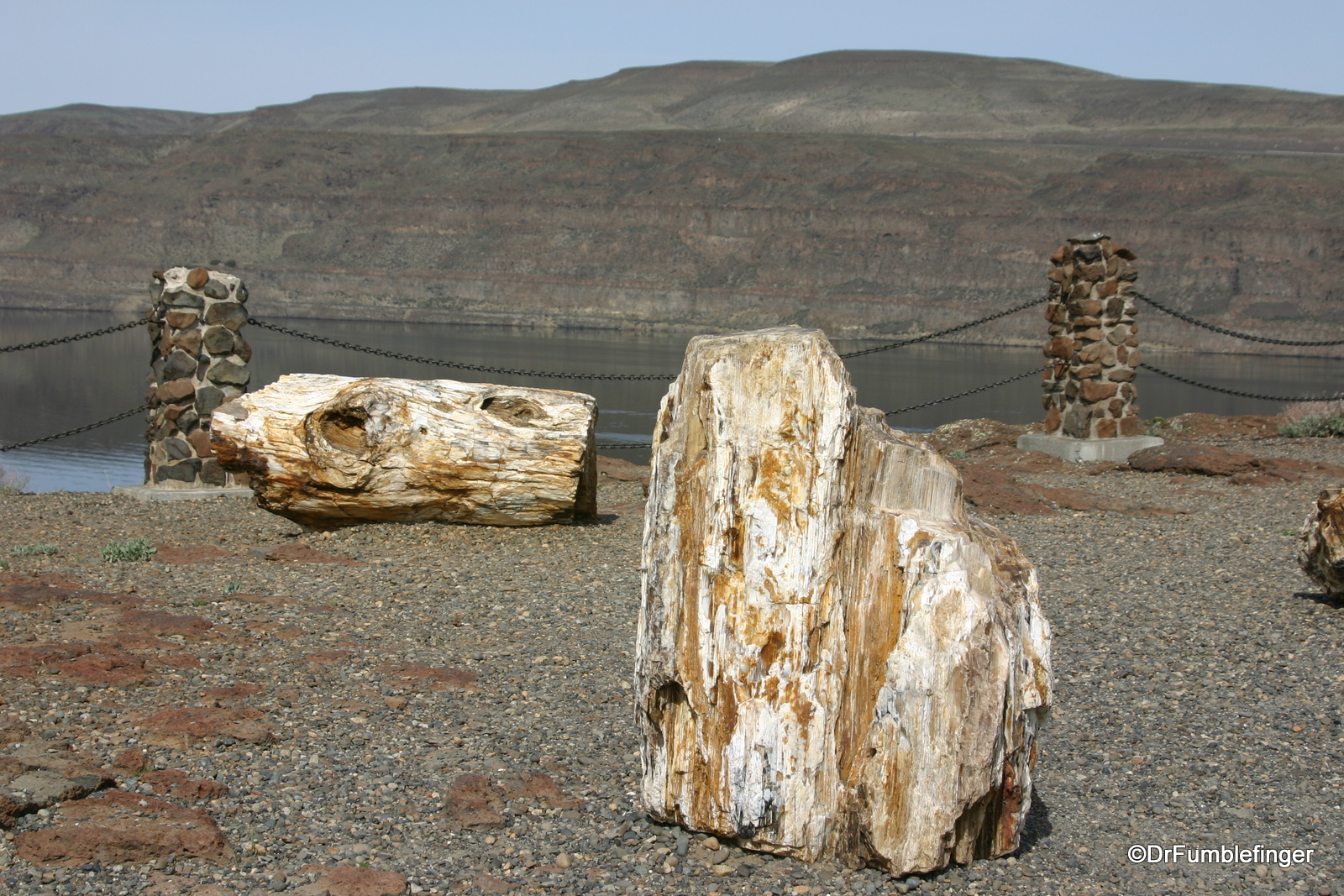Ginkgo Petrified Forest State Park
