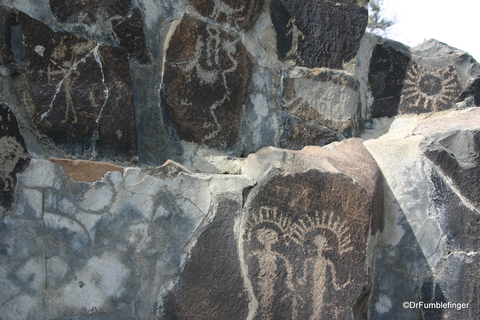 Petrified Forest State Park -- Petroglyphs