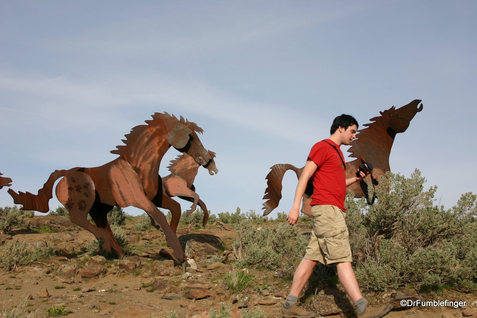 Wild Horses Monument